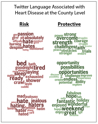 twitter can predict rates of coronary heart disease authentic drawing on a set of public tweets made between 2009 and 2010 the researchers used established emotional dictionaries as well as automatically generated